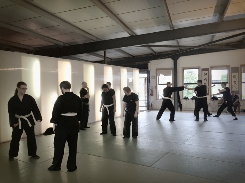 Bujinkan Battojutsu