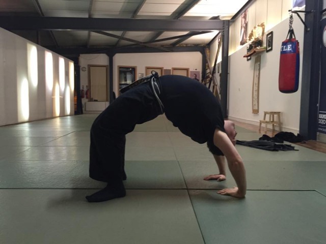 Class Record: Bujinkan Budo Taijutsu