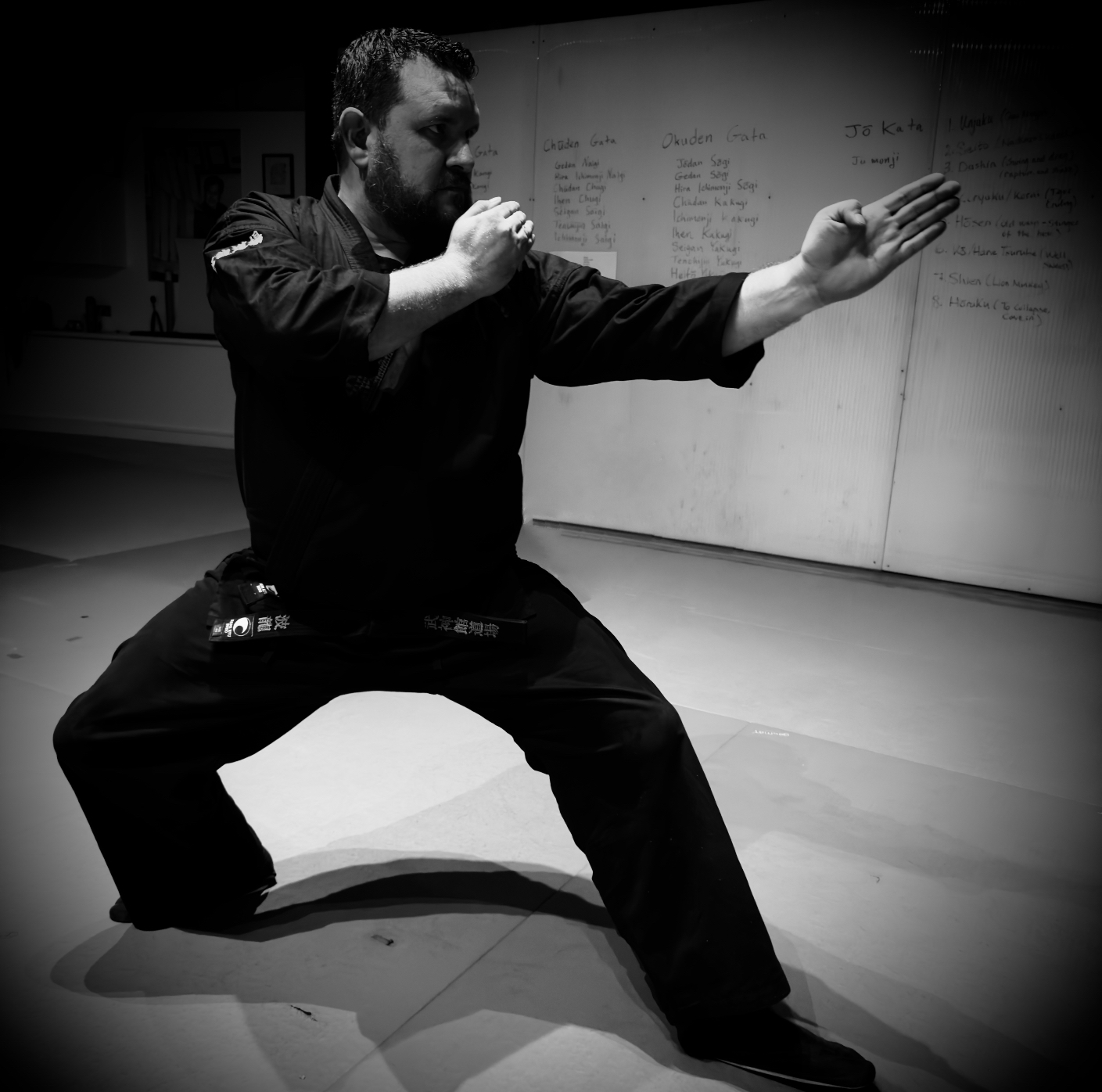 Learn Bujinkan Dojo martial arts, including ninpo taijutsu, jujutsu and more.